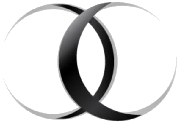 IDS Venezuela Logo